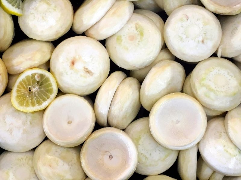 Şok Haşlama (Blanching) İle Tazeliği Mühürleyin