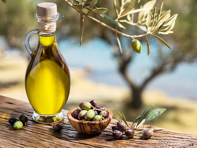 Zeytinin Çeşidi (Genetik Özellikler)