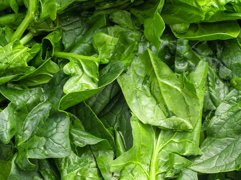 Sirke Ekleyerek Yıkama