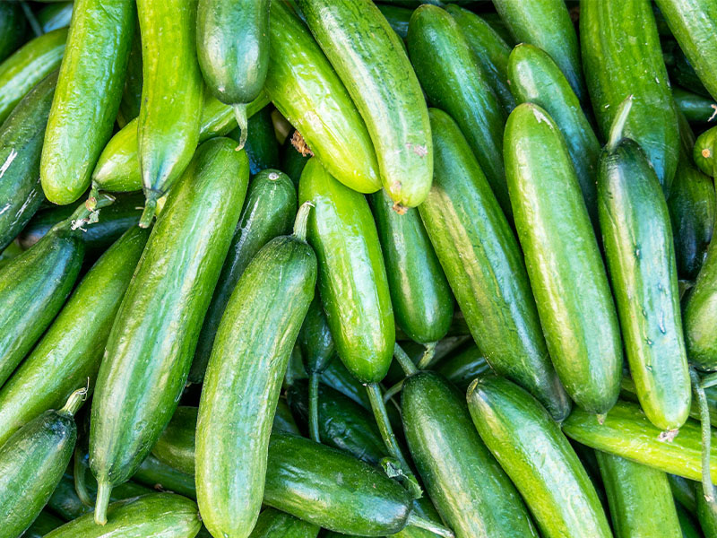 Salatalıkların Hazırlanması