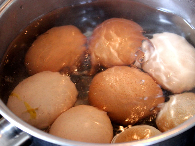 Haşlanmış Yumurta