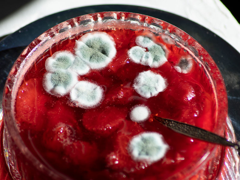 Ekmek üstü sürülebilen tatlılar (reçel, fıstık ezmesi)