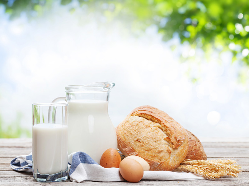 Karbonhidrat ve Hayvansal Protein