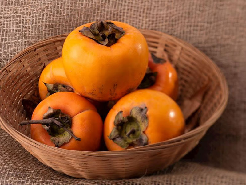 Kan Şekeri ve Enerji