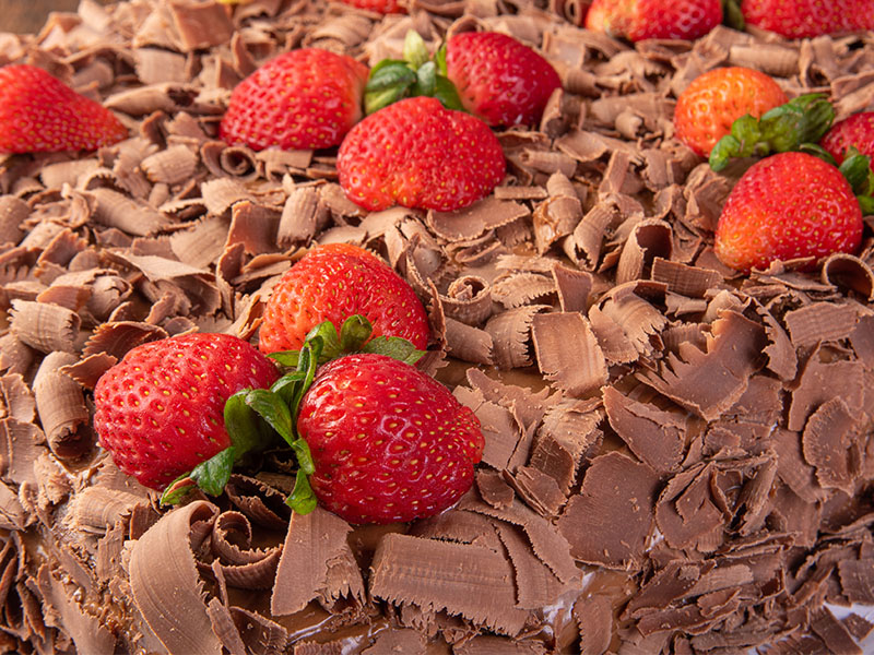 Meyveleri Doğru Zamanda Kesmek
