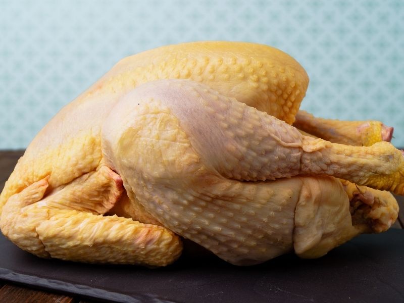 Doğal Yaşam Mı, Kümes Mi?