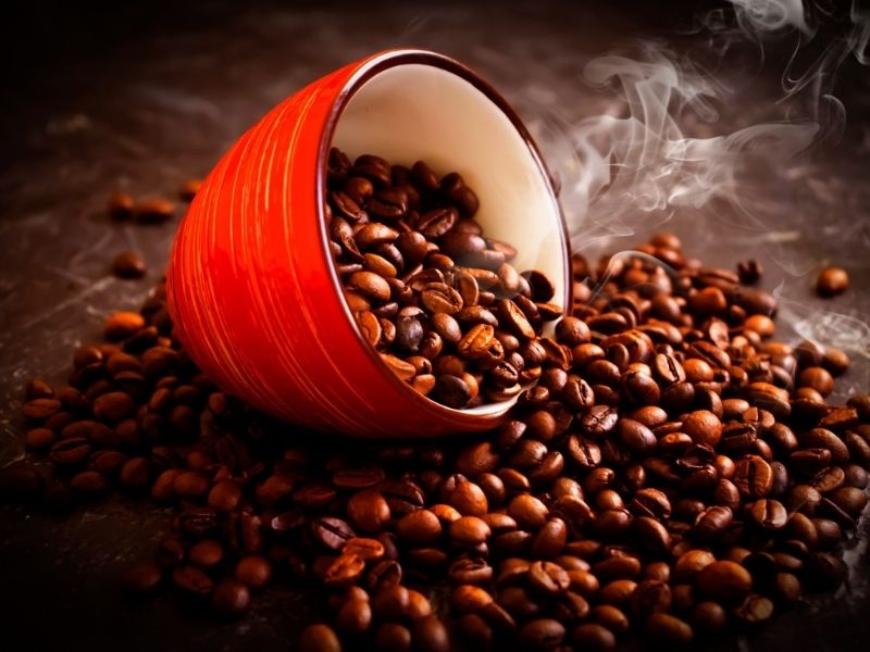 robusta çekirdeği