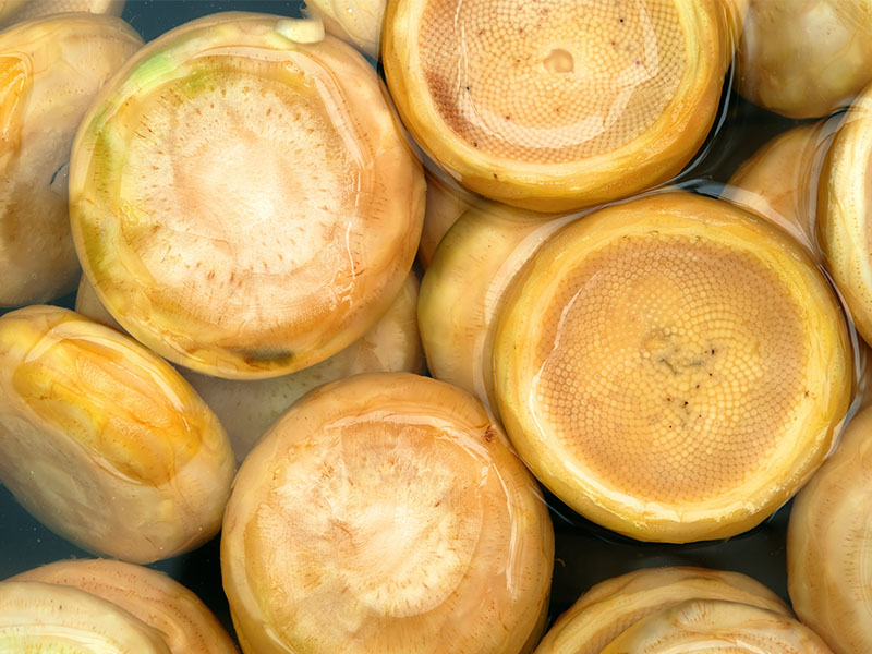 Un veya Nişasta Katılması