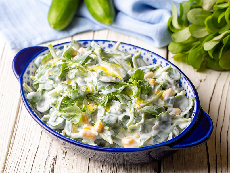 yoğurtlu semizotu salatası