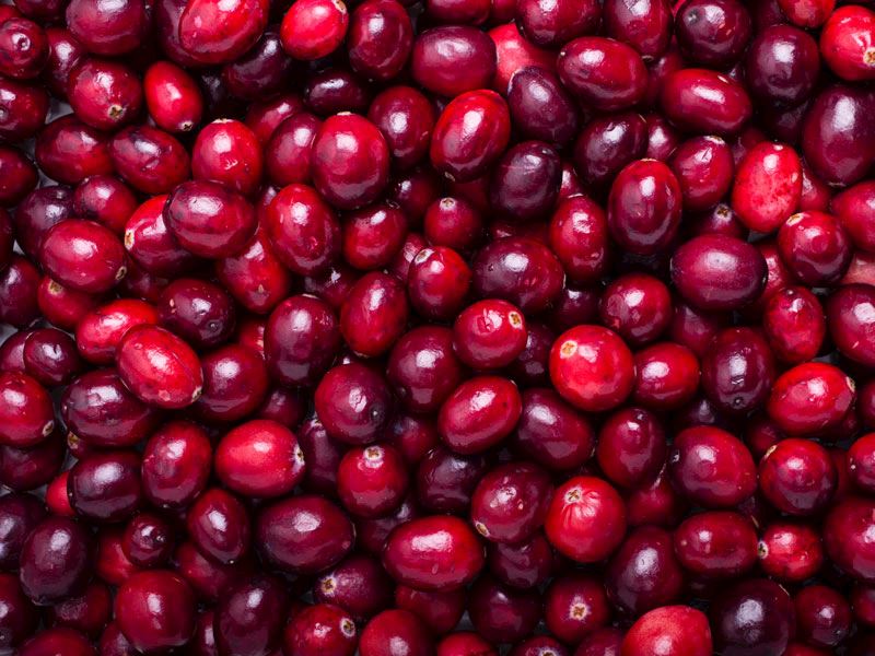 Kullanım alanları ve saklama