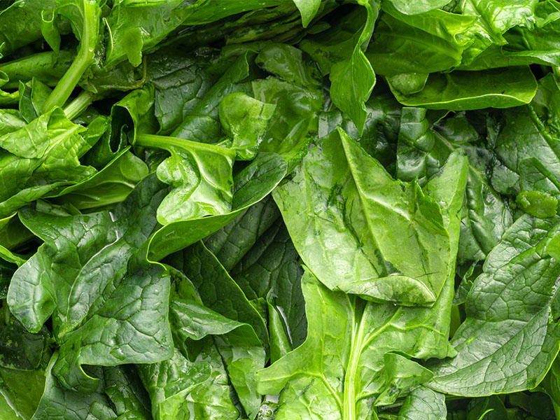 Salata Kurutucusu ile Kurutma