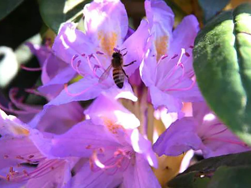 Bir Kavanozu Hastanelik Edebilir