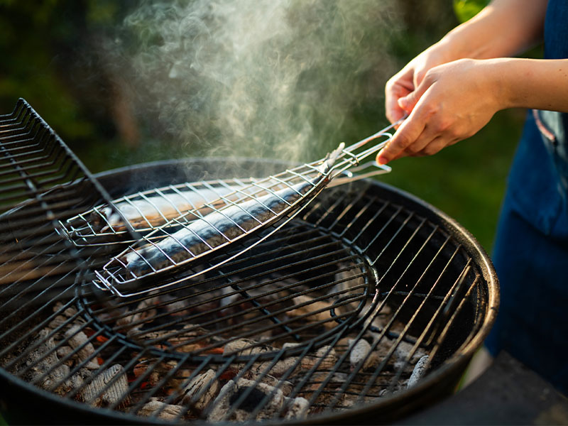Balığın Derisini Kullanın