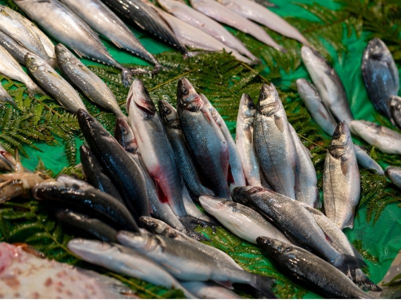 İstavritin Büyüğüne Ne Denir?