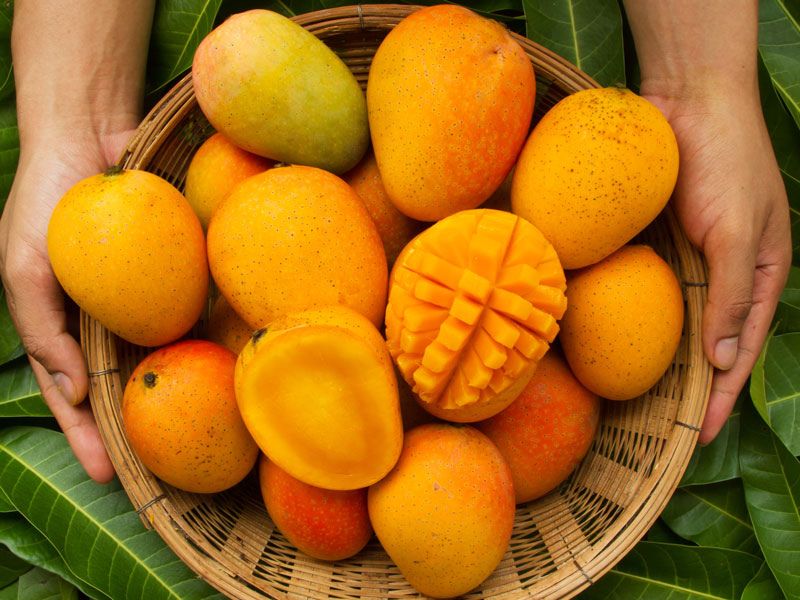 mango