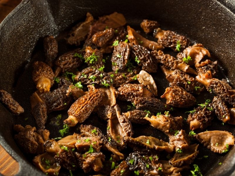 Tereyağı Ve Yüksek Isıda Mühürleme Tekniği