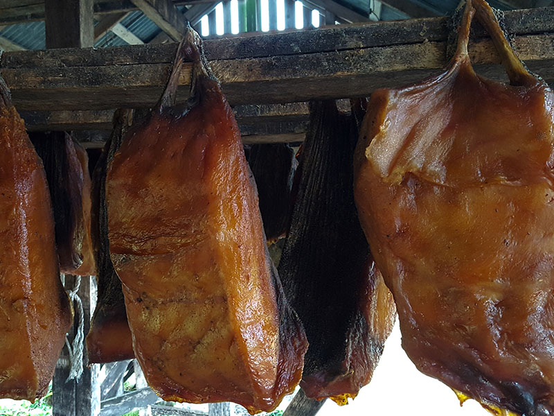 Hákarl – İzlanda