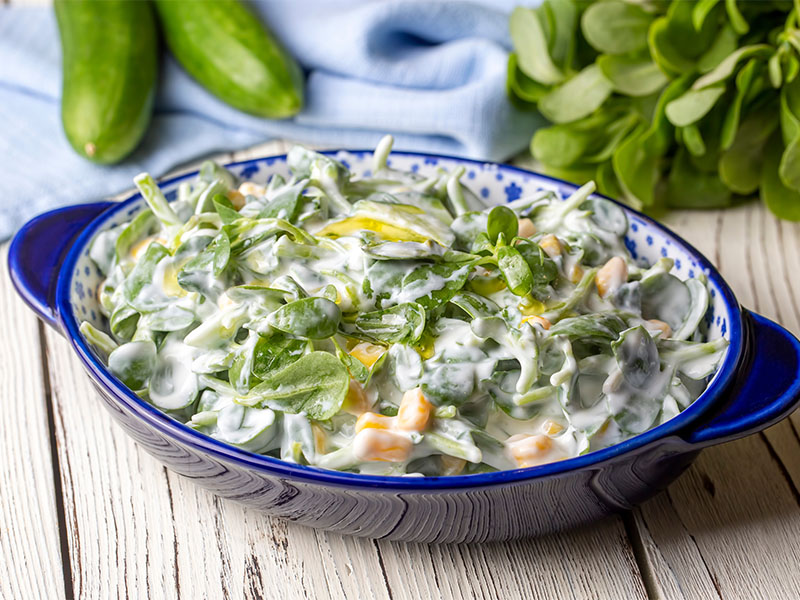 yoğurtlu semizotu salatası