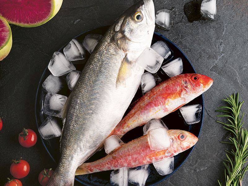 Taze Balık Kullanın