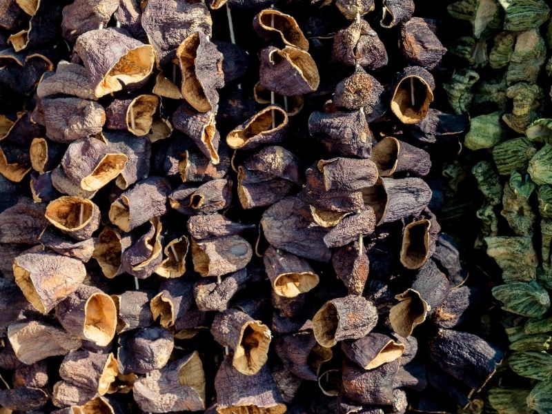 Güneşlenme Süresi ve Nem Kontrolü