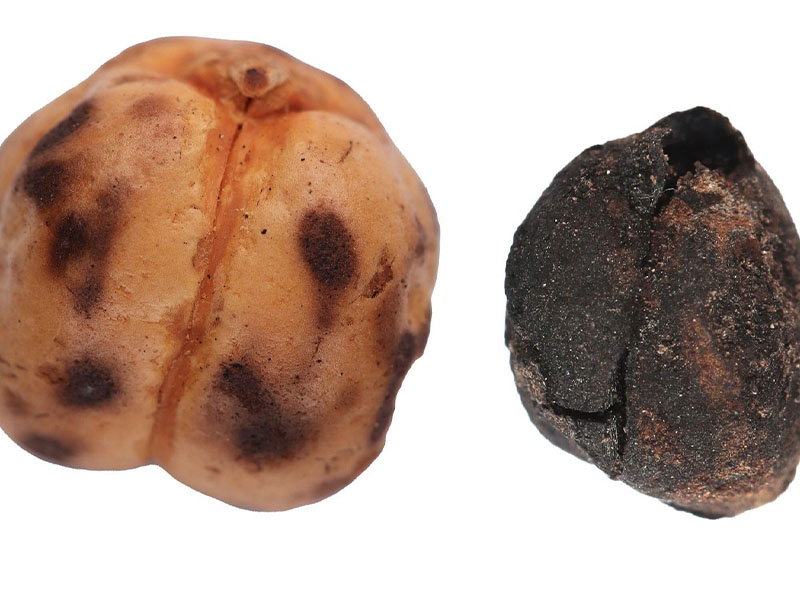 Ersoy'un paylaşımı şöyle: