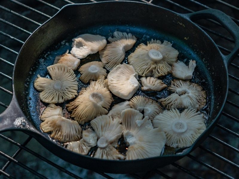 Taze Kekik Ve Biberiyenin Odunsu Uyumu