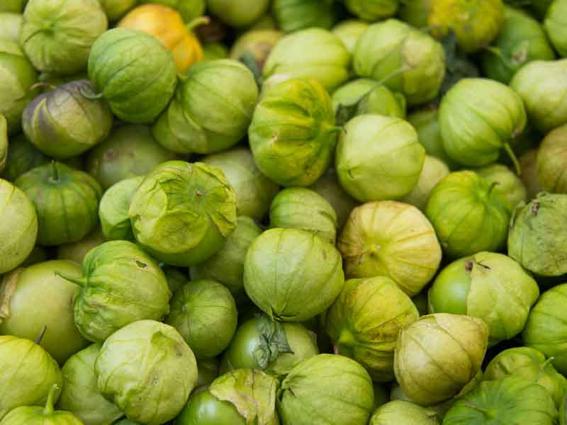 Tomatillo