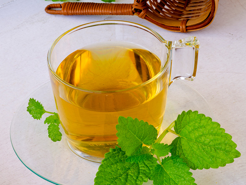 Melisa (Oğulotu) Çayı