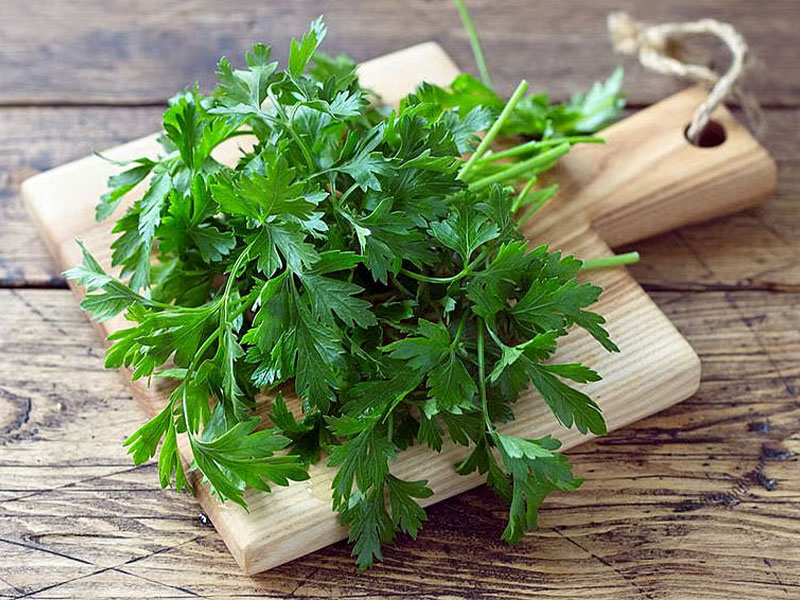 Marul Yapraklarını Doğru Şekilde Kullanın