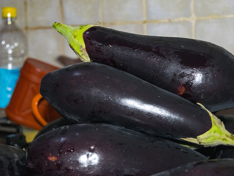 Hava geçirmez paketleme + etiketleme