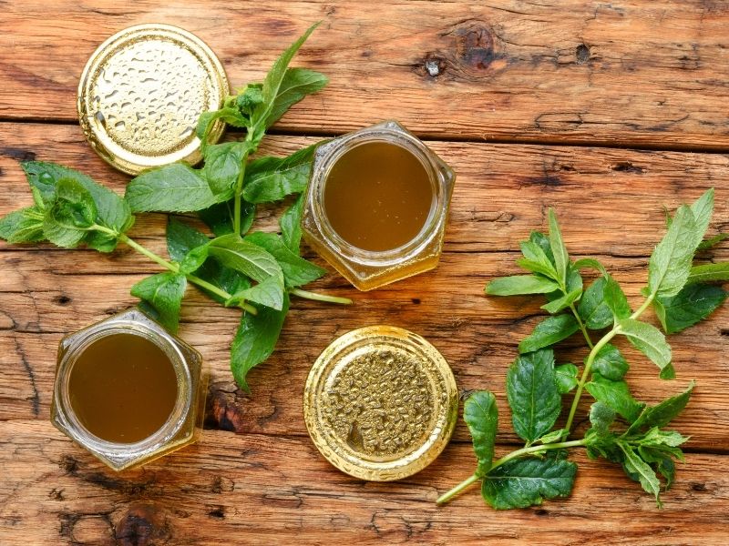 Kahvaltılık Sıra Dışı Lezzet: Taze Nane Reçeli Ve Aromatik Şuruplar