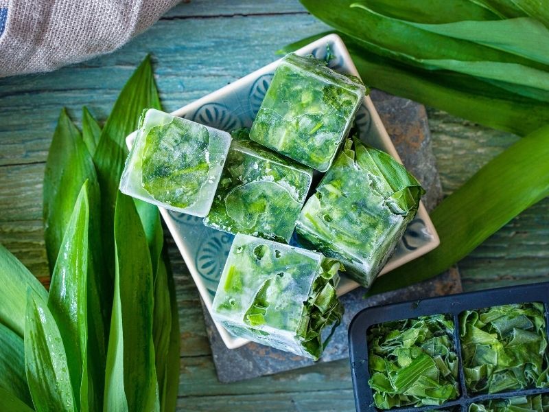 Uygun saksıyı seçin