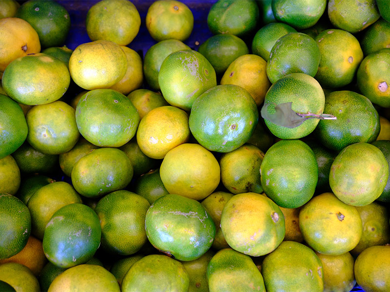 Bal ile Temas Ettirme Yöntemi