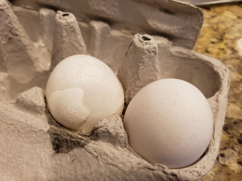 Kutuda Yapışan Ve Hareket Etmeyen Yumurta 