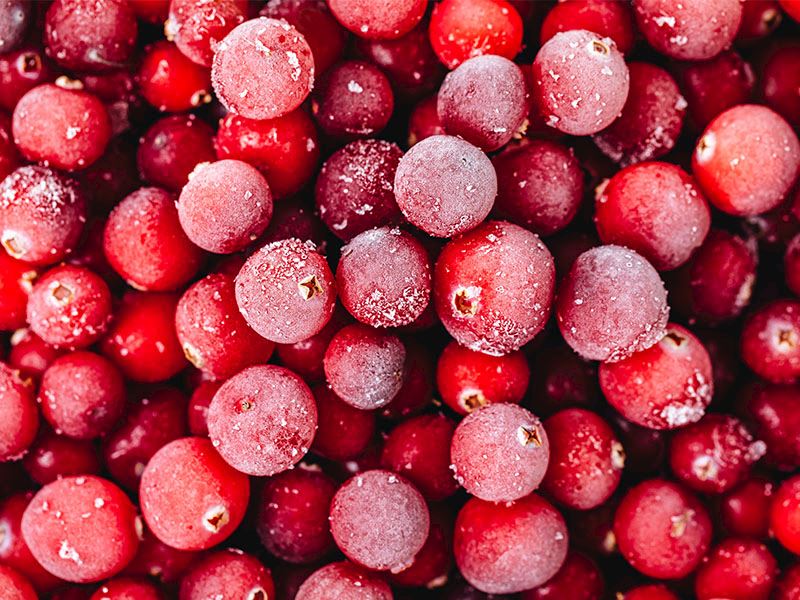 Kızılcık Kurusu ve Dondurulmuş Kızılcık