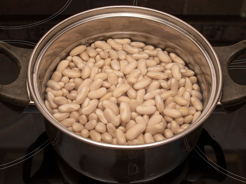 Doğru ıslatma ve suyunu değiştirme