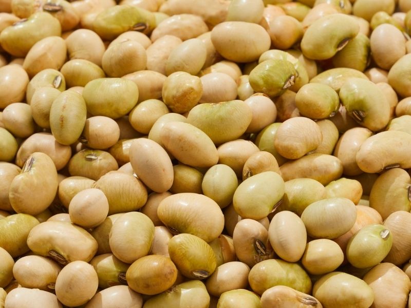 Soya Fasulyelerini Suda Bekletin 