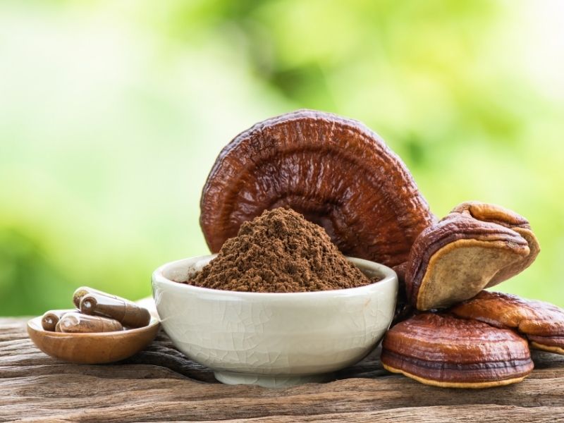 Reishi Mantarı Ekstraktı