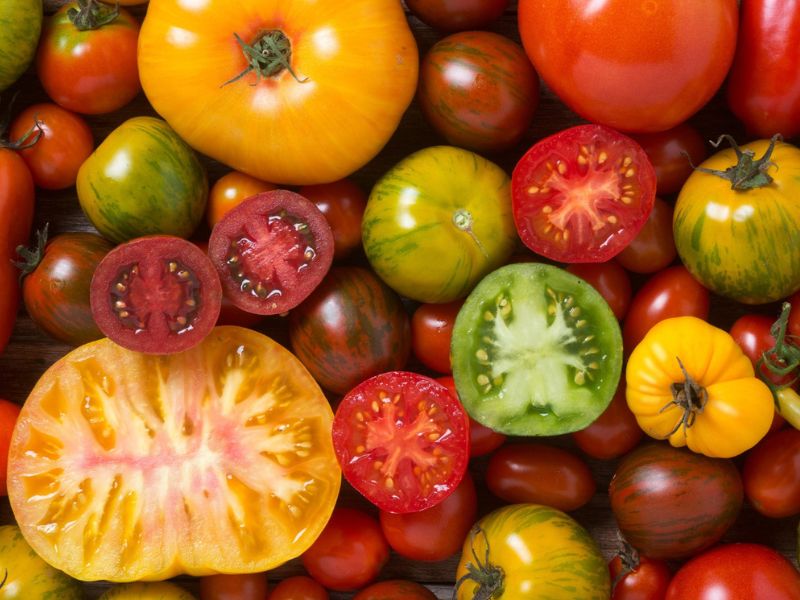 heirloom domates