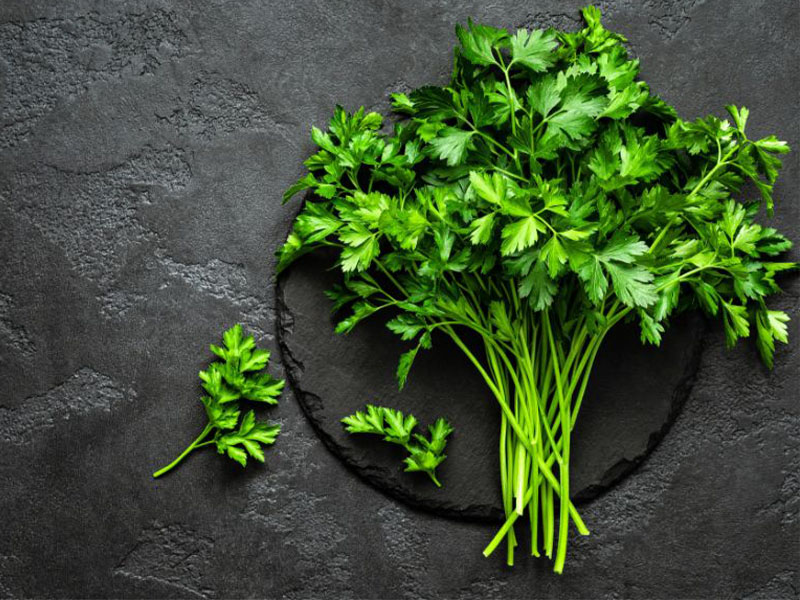 Temizlik ve Pratiklik Avantajını Kullanın