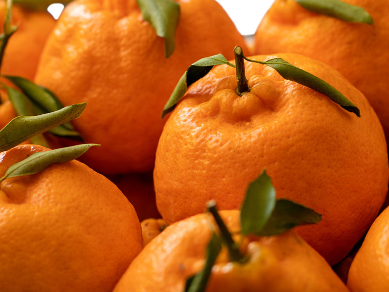 Kabuklarını çöpe atmak yerine değerlendirin