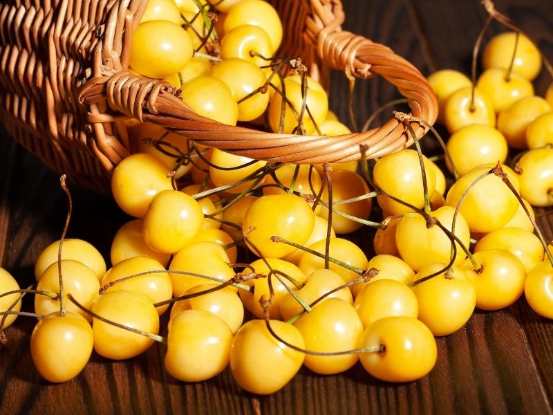 Beyaz Kirazların Ayıklanması Ve Çekirdek Çıkarma İşlemi
