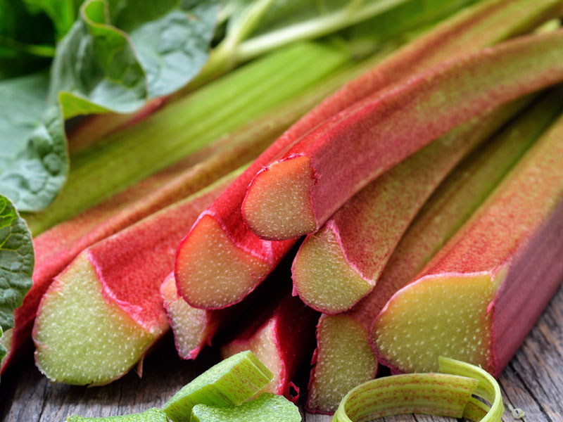 rhubarb