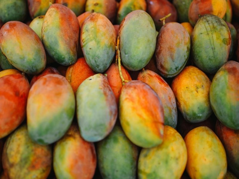 Mangoyu Olabildiğince Sert Seçin