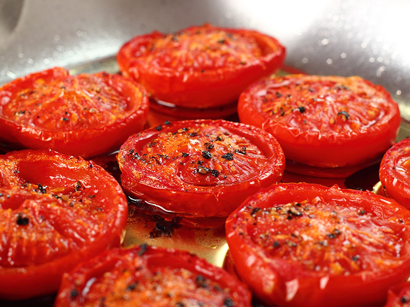 Domates Hasat Zamanı