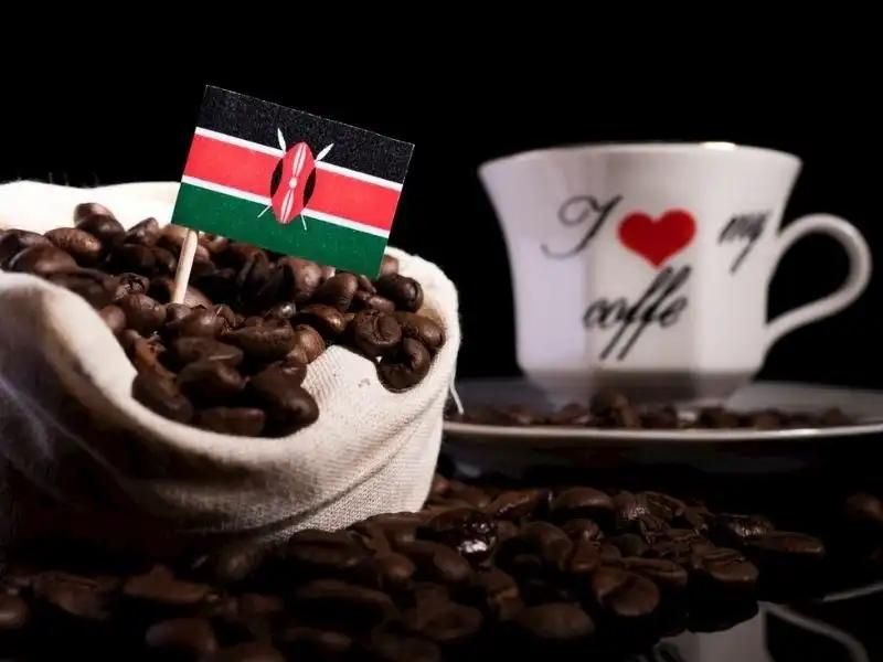 Kenya kahvesi