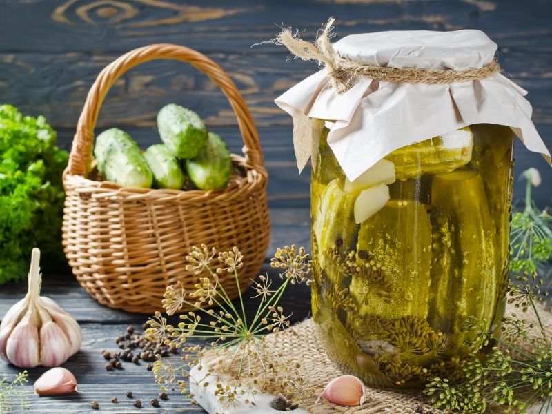 Fermantasyon Mayaları Ve Hava Alan Kavanoz Kapakları