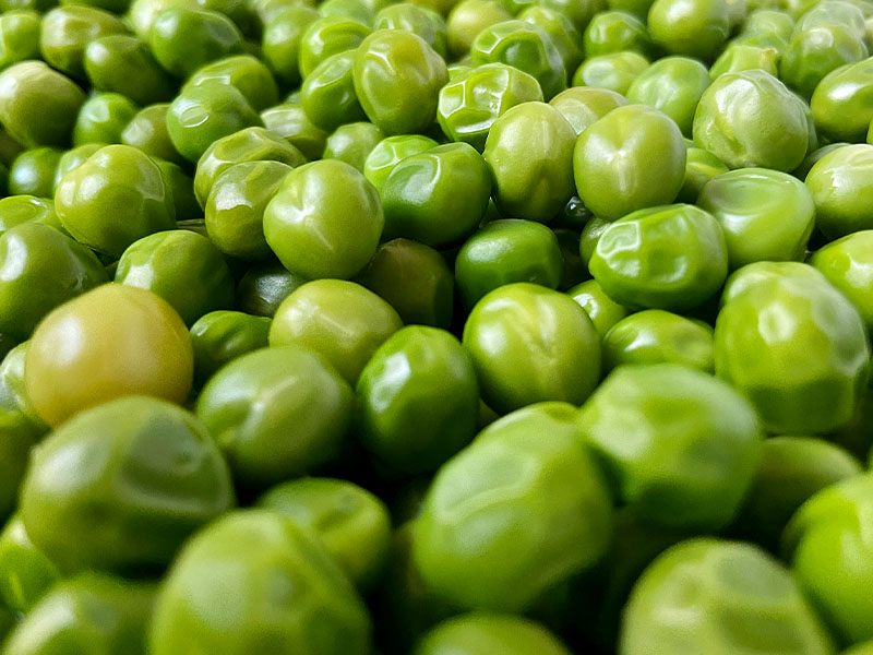 Gıda güvenliği riski