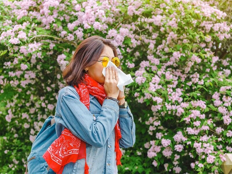 sonbahar alerjisi