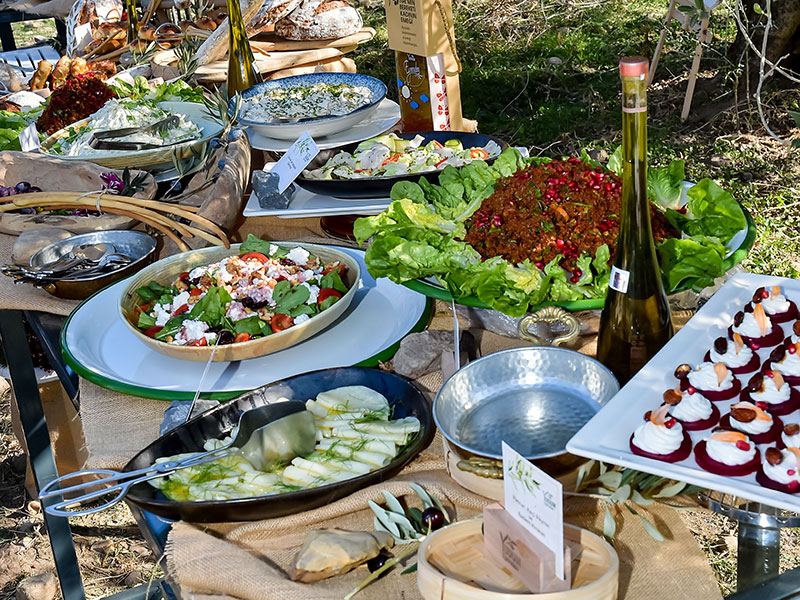 Ayvalik zeytin hasati